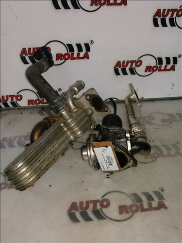 EGR+Racitor Volkswagen Passat B6 1.9dan 2006