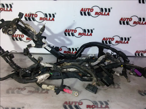 Instalatie electrica motor Ford Transit 2.2dan 2012