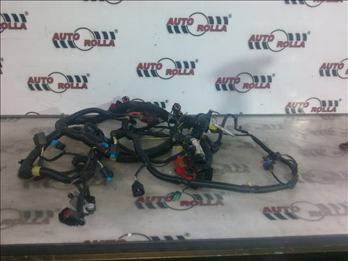 Instalatie electrica motor Range Rover Evoque 2.2Dan 2014(E5)