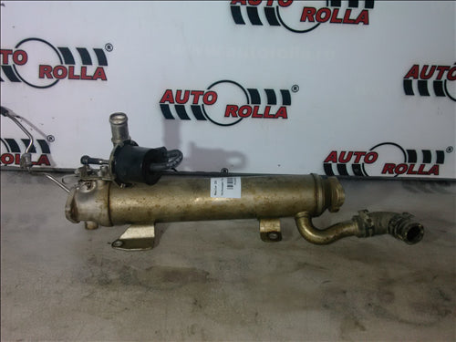 Racitor EGR Volkswagen Passat B6 2.0D
