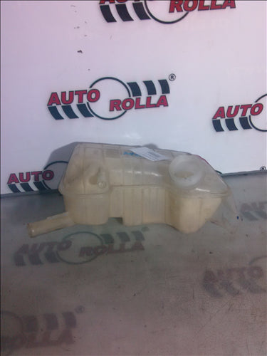 Vas expansiune Renault Megan 2