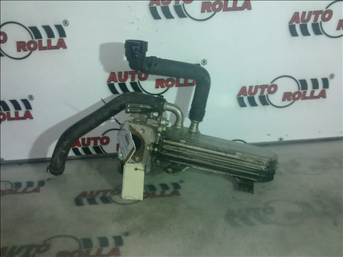 Racitor EGR Volkswagen Golf 5 1.9  cod bkc