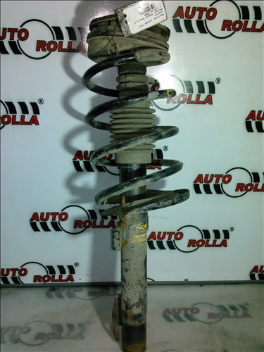 Amortizor stanga fata complet Renault Megane Scenic 2 1.5 E4 an 2006