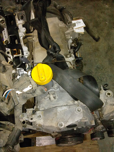 Fulie motor Dacia Logan 1.4MPI