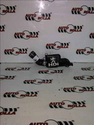 Epurator Peugeot 206 1.4HDI an 2005