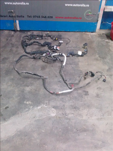 Instalatie electrica motor Land Rover Discovery 3 2.7 HSE an 2007