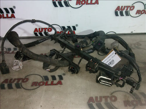 Instalatie electrica motor Volkswagen Bora  1.6s an 2001