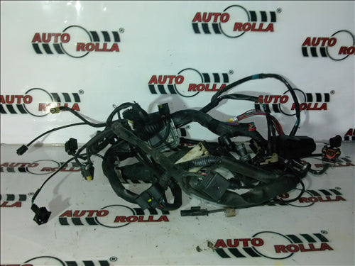 Instalatie electrica motor Mercedes C-Class 2.2D