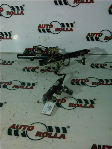 Rampe injectoare Land Rover Discovery 3 2.7 HSE an 2007