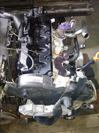 Termoflot Volkswagen Golf 6 1.6 TDI an 2012