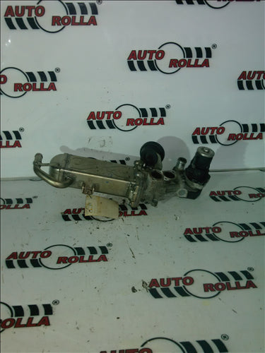 EGR+racitor Volkswagen Golf 6 1.6 TDI an 2012