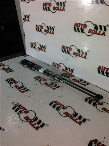 Amortizoare haion Range Rover Sport an 2011