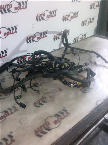 Instalatie  electrica motor Mercedes Sprinter 2.7 D an 2005