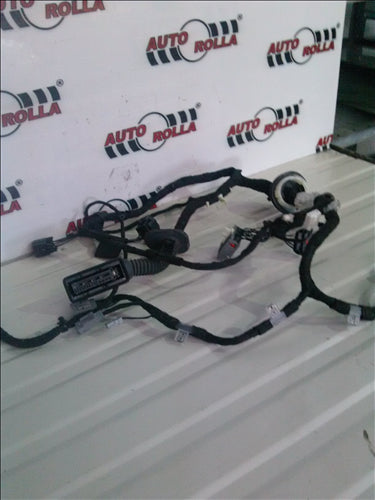 Instalatie electrica usa dreapta fata Range Rover Sport 4.4D SDV8 an 2015