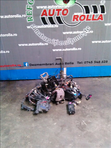 Instalatie electrica Skoda Fabia 1.6 d, an 2011, CAYA