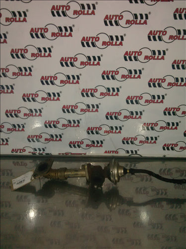 EGR Seat Toledo 1.9 tdi an 2002