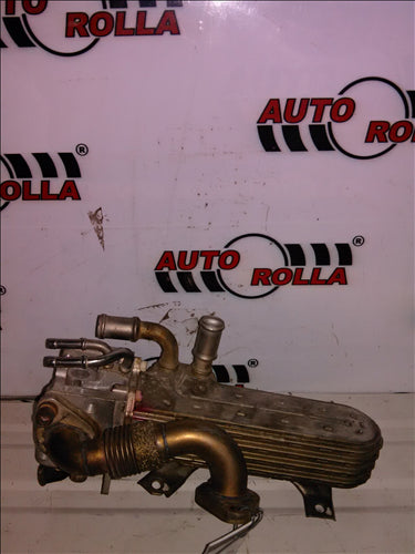 EGR + racitor Volkswagen Passat 1.9 TDI an 2003