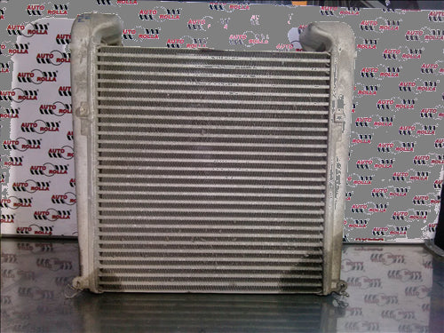 Radiator Intercooler Man 8163