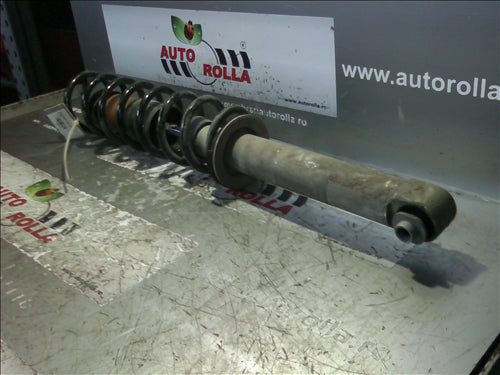 amortizor si arc spate BMW E60