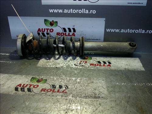 amortizor+ arc+flansa spate BMW E60