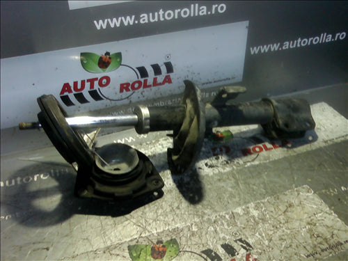 amortizor fata si flansa Renault Clio 3