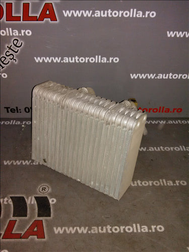 vaporizator Renault Megane