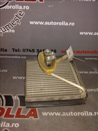 vaporizator Skoda Fabia 1.2S