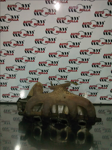 Galerie admisie Renault Kangoo 1.9d