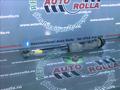 amortizor spate complet Chevrolet Kalos, an 2006
