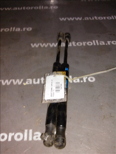 amortizoare capota spate Ford Focus 2