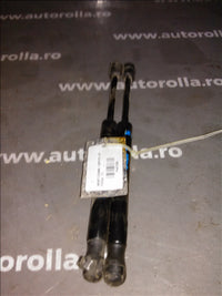 amortizoare capota spate Ford Focus 2