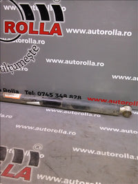 amortizor spate Dodge Durango