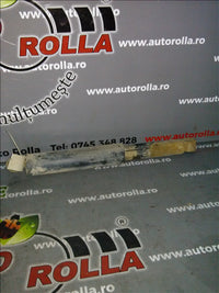 amortizor spate Ford Transit Connect, an 2003