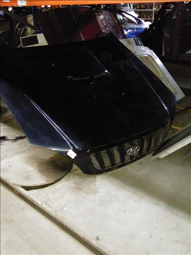 capota fata si masca Hyundai Terracan an 2005