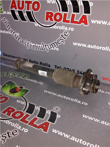 amortizor spate+flansa BMW X5 E53, an 2003