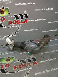 clapeta acceleratie Peugeot Boxer 2.2HDI an 2012 euro5