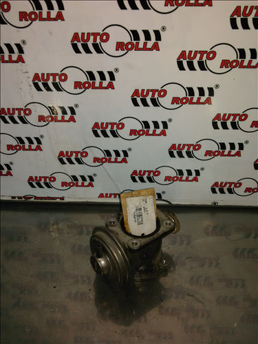 egr BMW X5 E53, 3.0D