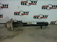 amortizor si flansa spate BMW X5 E70, an 2007