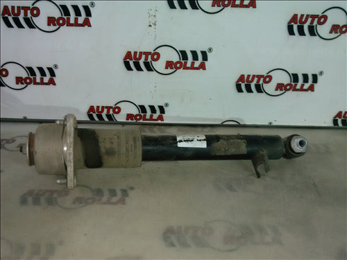 amortizor si flansa spate BMW X5 E70, an 2007