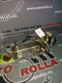 egr BMW E93, 2.0D an 2009