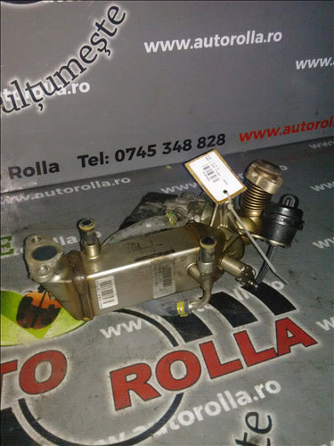 egr BMW E93 2.0D an 2009