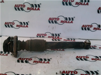 amortizor spate+flansa BMW X5 E53, an 2003
